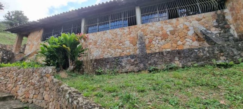 Foto Casa en Venta en San Luis, Falcón - U$D 150.000 - CAV176179 - BienesOnLine