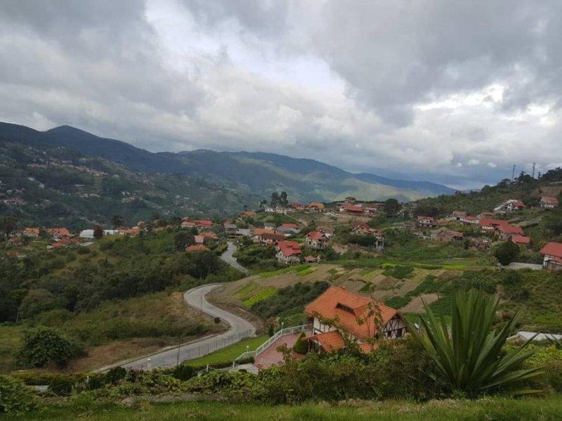 Casa en Venta en @phagrovzla Colonia Tovar, Aragua