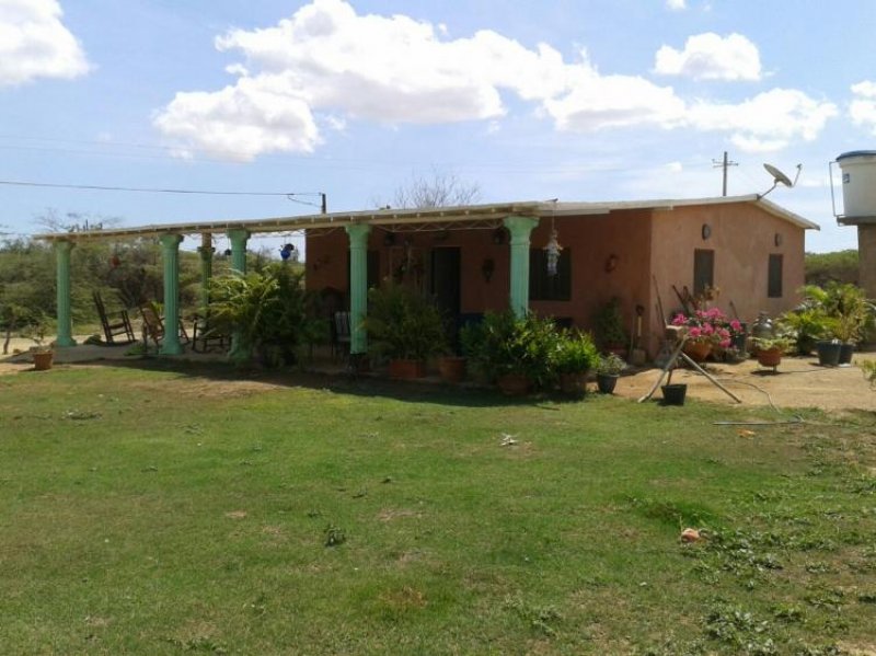 Foto Casa en Venta en Pueblo Nuevo, Pueblo Nuevo, Falcón - CAV92977 - BienesOnLine