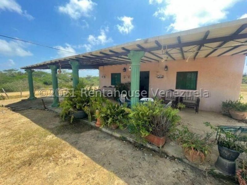 Foto Casa en Venta en Pueblo Nuevo, Falcón - U$D 5.500 - CAV175443 - BienesOnLine