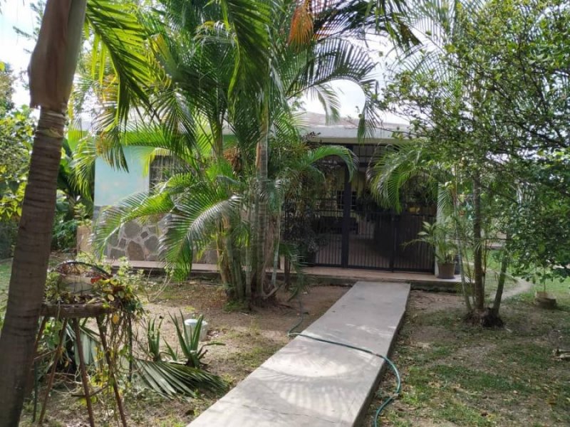 Foto Casa en Venta en San Diego Carabobo, San Diego Carabobo, Carabobo - U$D 33.000 - CAV166095 - BienesOnLine