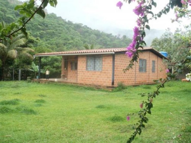 Foto Casa en Venta en La Victoria, Aragua - BsF 380.000 - CAV22278 - BienesOnLine