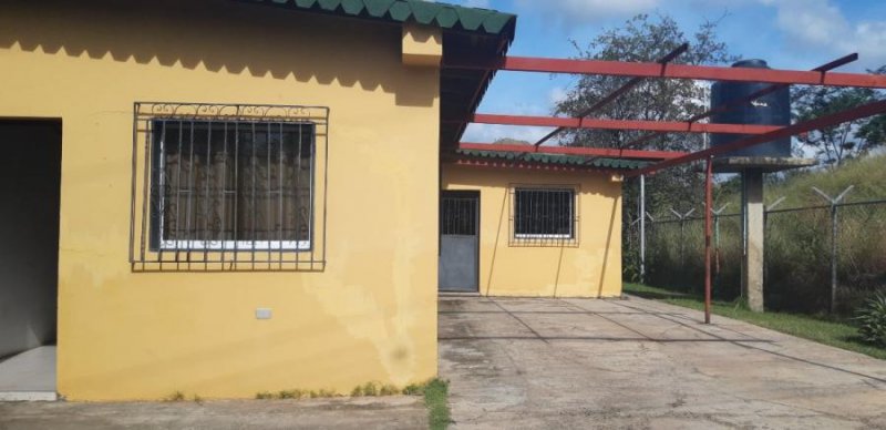 Casa en Venta en Altagracia de Orituco Altagracia de Orituco, Guárico