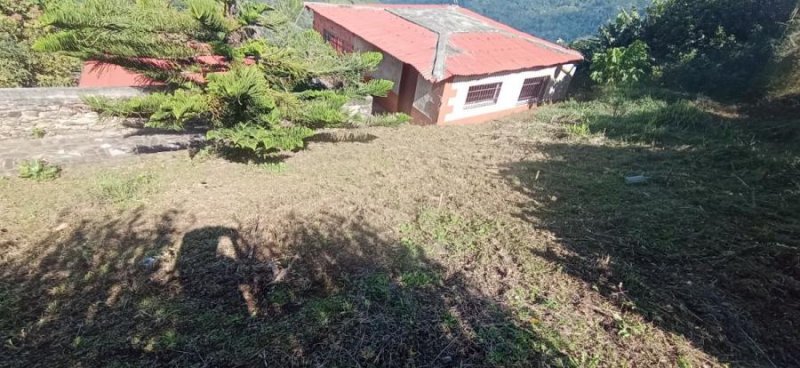 Finca en Venta en  Colonia Tovar, Aragua