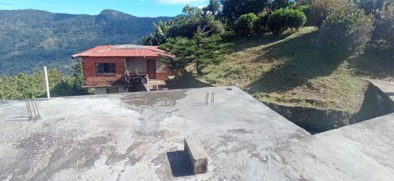 Finca en Venta en  Colonia Tovar, Aragua