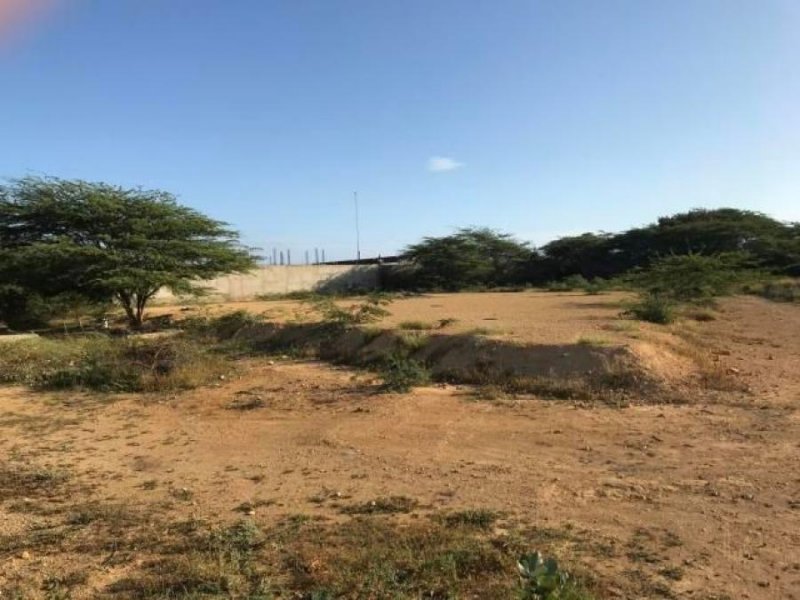 Foto Terreno en Venta en Carirubana, Punto Fijo, Falcón - BsF 32.861.000 - TEV116133 - BienesOnLine