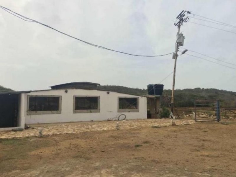 Foto Galpon en Venta en Pueblo Nuevo, Falcón - BsF 164.305.000 - GAV116134 - BienesOnLine