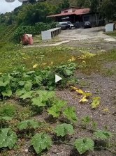 Negocio en Venta en baruta el hatillo, Distrito Federal