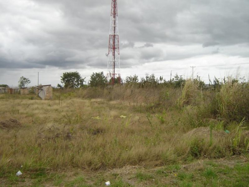 Foto Terreno en Venta en la cruz, Maturín, Monagas - BsF 200.000 - TEV23207 - BienesOnLine