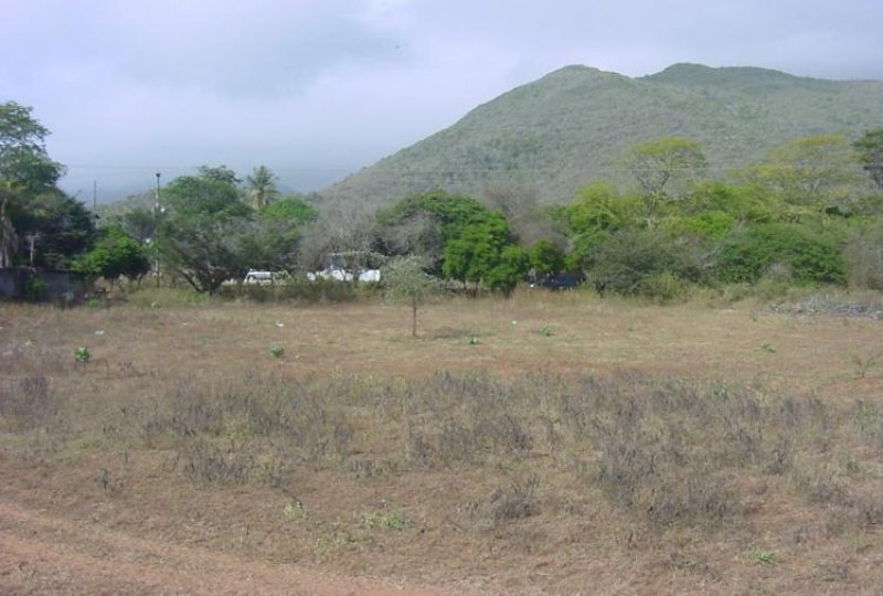 Foto Terreno en Venta en , Nueva Esparta - BsF 6.000.000 - TEV56242 - BienesOnLine