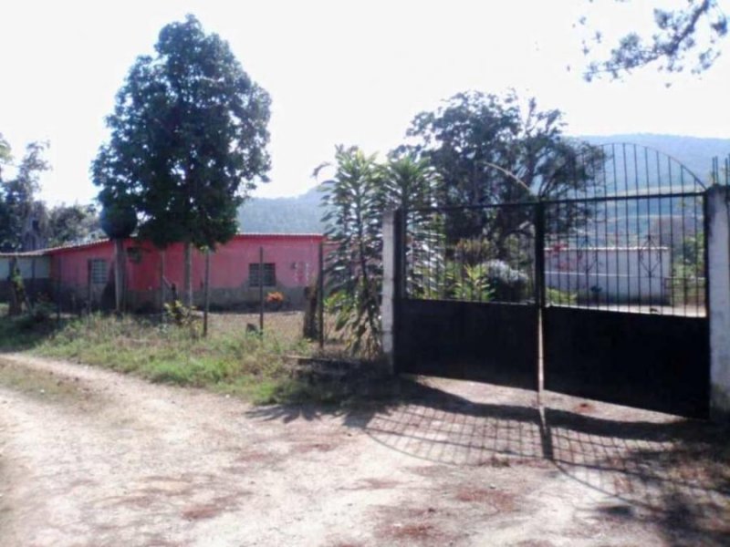 Casa en Venta en nirgua Nirgua, Yaracuy