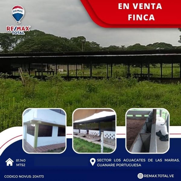 En Venta Finca, casa principal y obreros, caballerizas, galpón gallinero, de cochinos, de cabras.