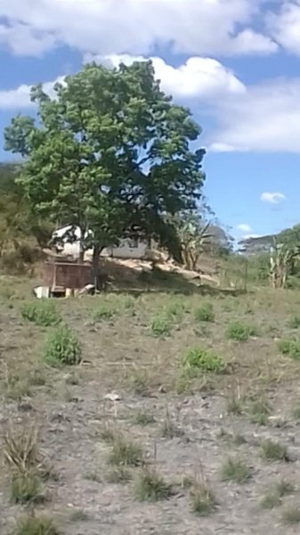 Finca en Venta en Caño nuevo Tinaquillo, Cojedes