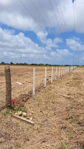 Terreno en Venta en  Chichiriviche, Falcón