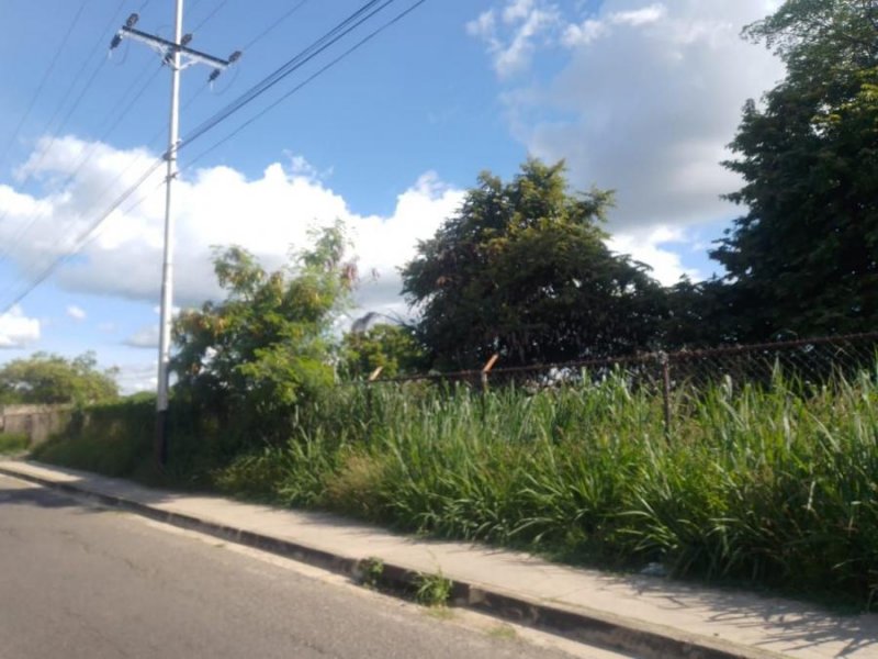 Terreno en Venta en  Guacara, Carabobo