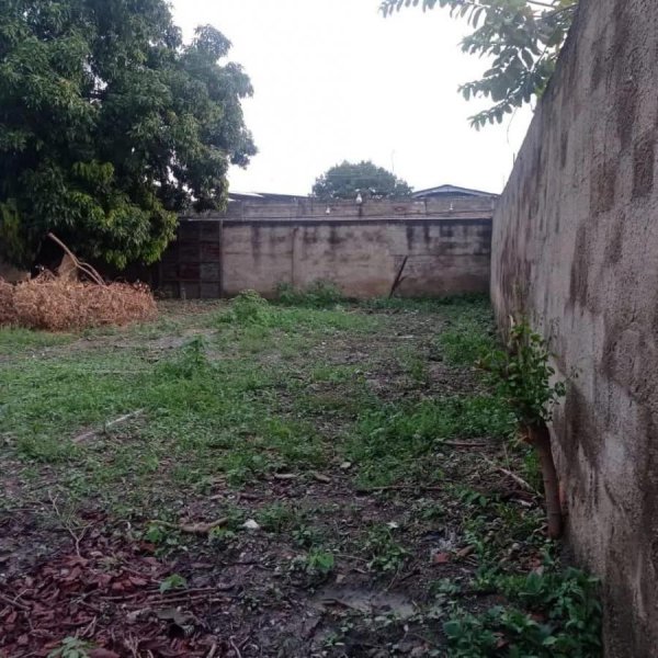 En Venta Terreno en Palo Negro, Municipio Libertador, Edo. Aragua. 