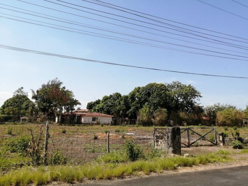 Foto Terreno en Venta en SAFARI CARABOBO, SAFARI CARABOBO, Carabobo - U$D 19.500 - TEV210890 - BienesOnLine