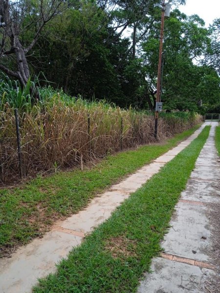 Foto Terreno en Venta en San Jose, Valencia, Carabobo - U$D 188.000 - TEV196828 - BienesOnLine