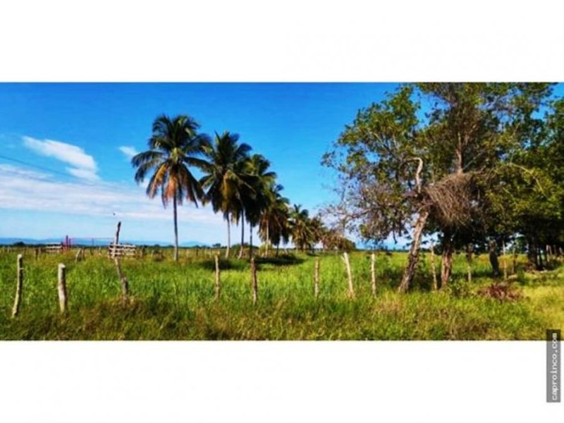 Foto Terreno en Venta en Boca de aroa, Boca de Aroa, Falcón - U$D 120.000 - TEV184659 - BienesOnLine