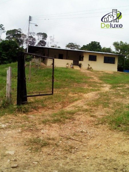 Foto Finca en Venta en Chiguará, Mérida, Mérida - U$D 55.000 - FIV146404 - BienesOnLine