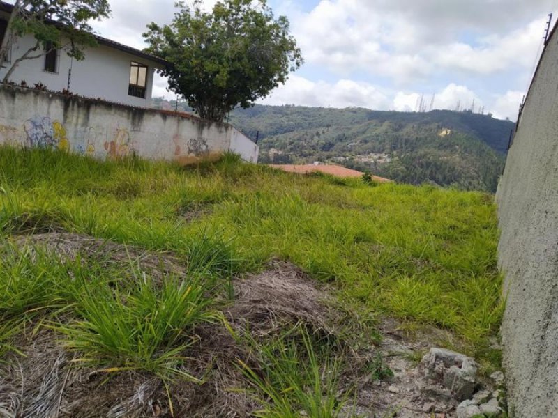 Foto Terreno en Venta en El Hatillo, Los Naranjos del Cafetal, Distrito Federal - U$D 115.000 - TEV165590 - BienesOnLine