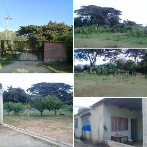 Foto Terreno en Venta en San Diego, Carabobo - U$D 21.000 - TEV201927 - BienesOnLine