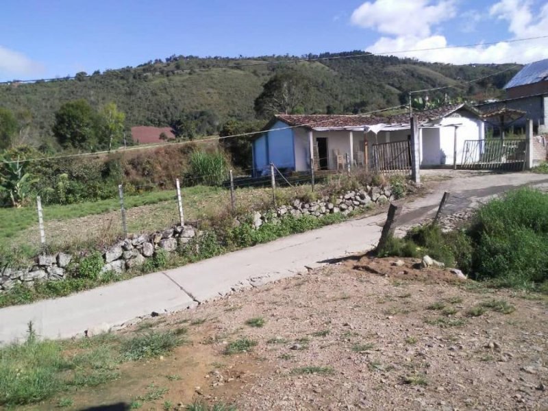 Finca en Venta en  La Grita, Táchira