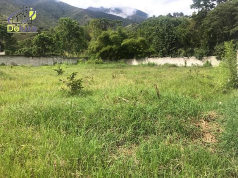 Foto Terreno en Venta en La Mucuy Baja, Tabay, Mérida - U$D 15.000 - TEV146548 - BienesOnLine