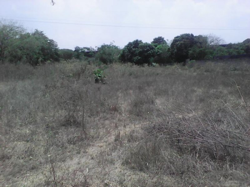 Foto Terreno en Venta en San Diego, Carabobo - BsF 11.500.000 - TEV106649 - BienesOnLine