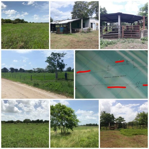 Foto Finca en Venta en Santa Bárbara, Barinas - U$D 204.000 - FIV142533 - BienesOnLine