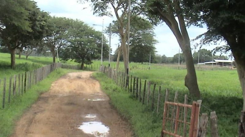 Finca en Venta en @phagrovzla Finca 295 Hectáreas, Anzoátegui