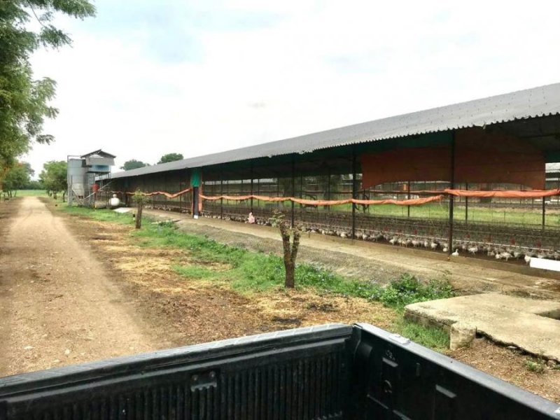 Finca en Venta en @phagrovzla Granja de Pollos Automatizada, 780 mil $, Carabobo