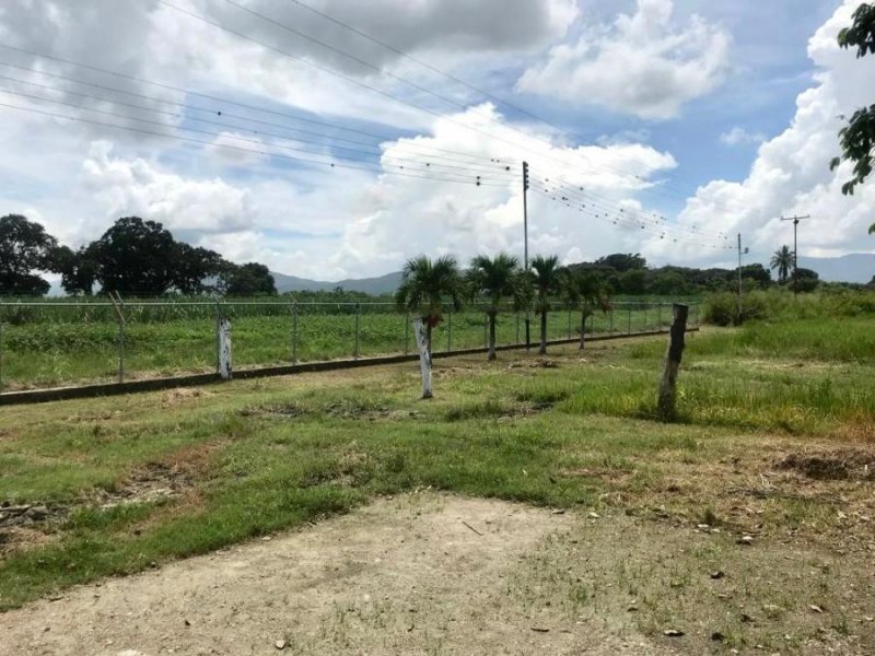 Finca en Venta en @phagrovzla Granja de Pollos Automatizada, 780 mil $, Carabobo