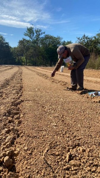 Finca 800 Hectáreas Estado Guárico, Unidad de Producción Agrícola y Pecuaria,  MARZO 2025