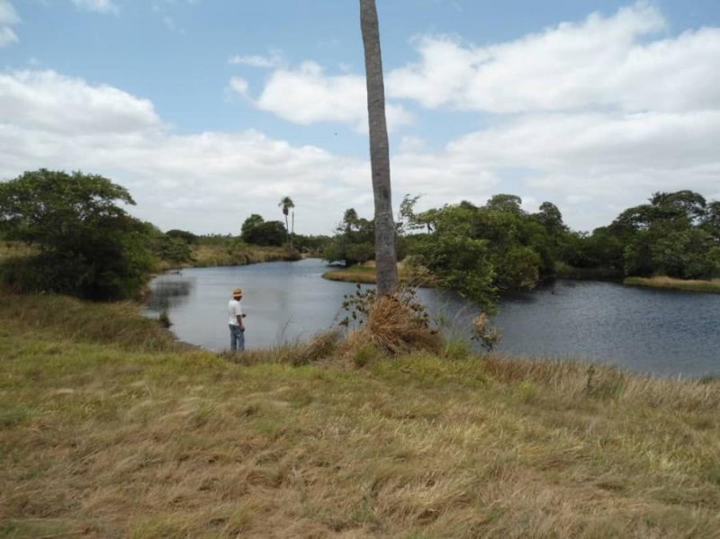 Finca en Venta en @phagrovzla Finca 9.000 Hectáreas, para Ganadería, Guárico