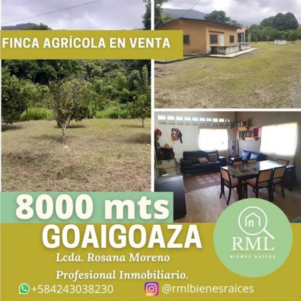Finca agrícola en venta, Puerto Cabello 