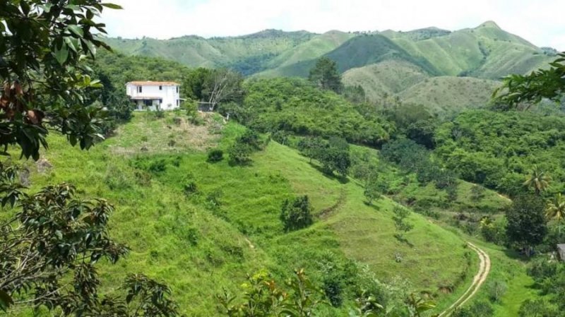 Finca agrícola ganadera Miranda 118has