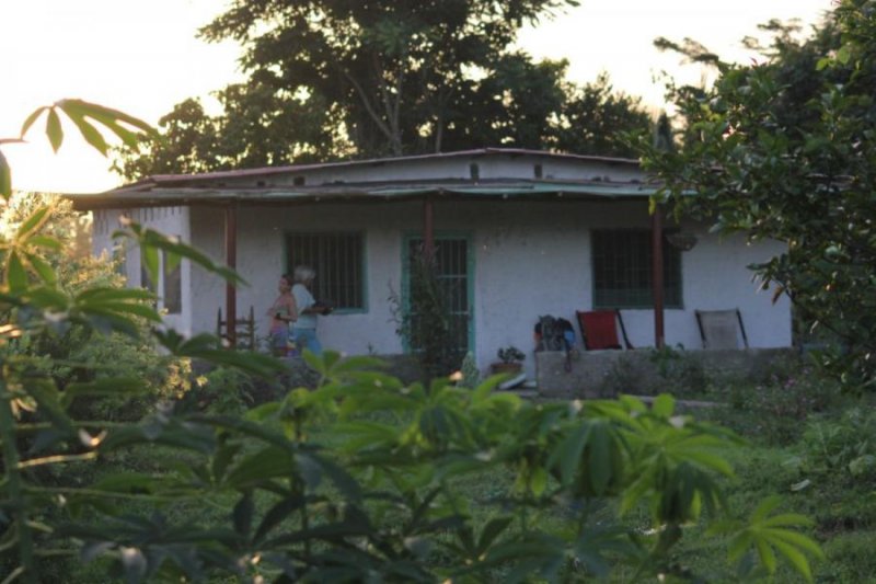 Finca en Venta en La Yaguapa Yaguapita, Miranda