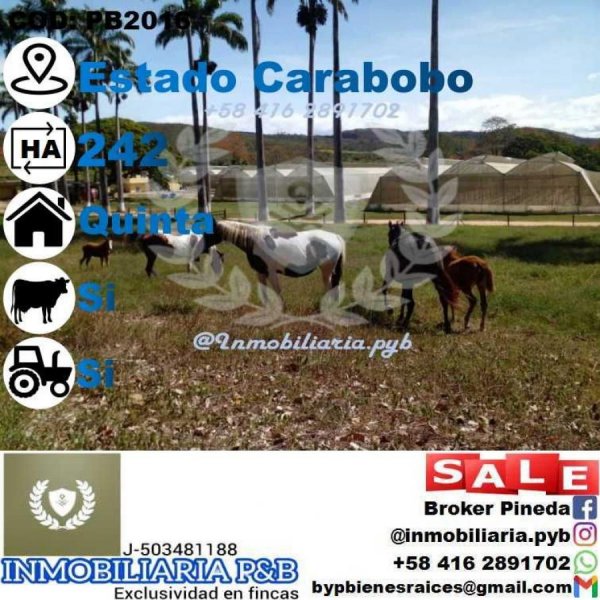 Finca en Venta en  Bejuma, Carabobo