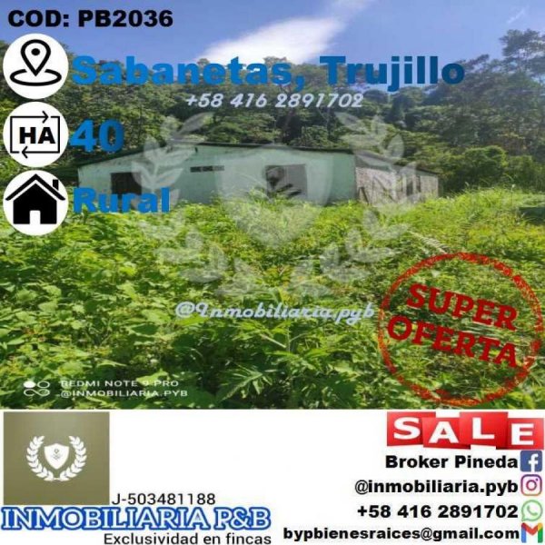 Foto Finca en Venta en SABANETAS, Trujillo, Trujillo - 40 hectareas - U$D 40.000 - FIV238600 - BienesOnLine