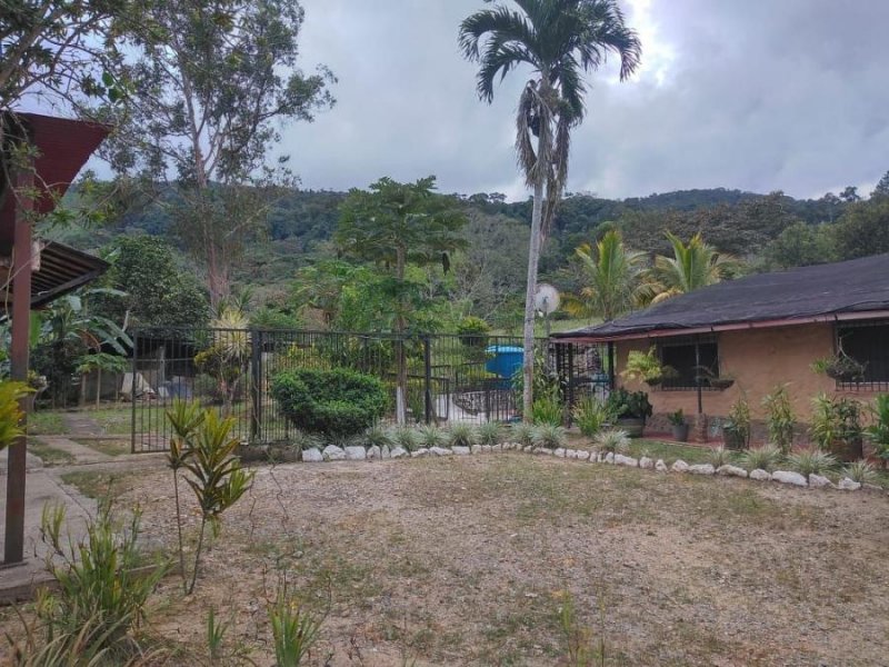 Finca en Venta en CANOABO Bejuma, Carabobo