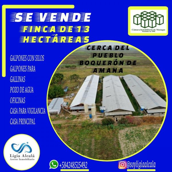 Finca en Venta en  Maturín, Monagas