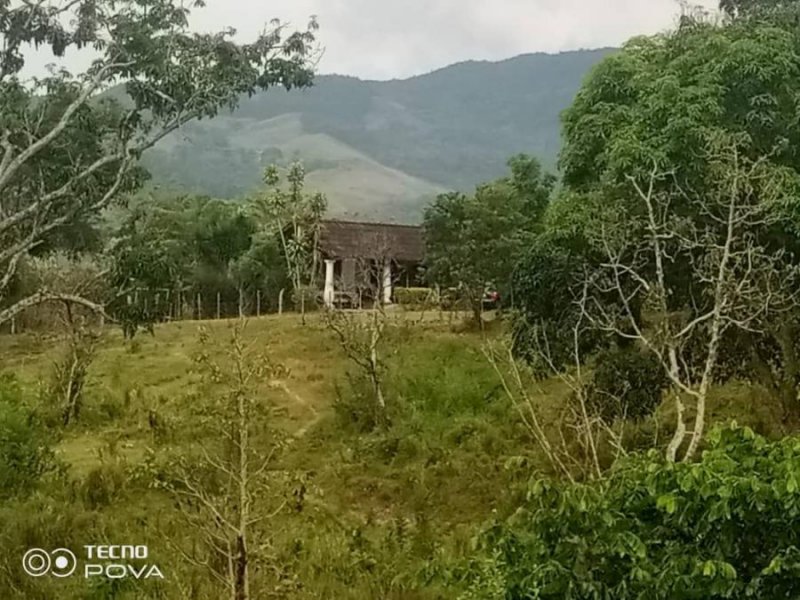 Finca en Miranda Edo Carabobo ATT-195