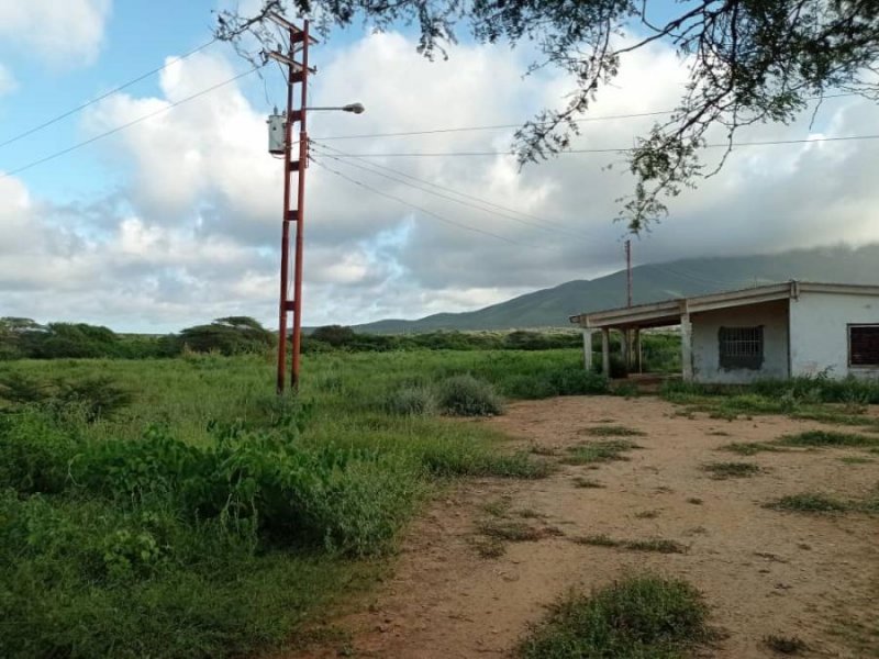 Foto Finca en Venta en Moruy, Pueblo Nuevo, Falcón - U$D 45.000 - FIV140941 - BienesOnLine