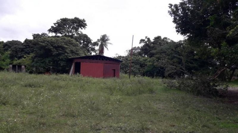 Foto Finca en Venta en Ciudad Guayana, Bolívar - 2 hectareas - U$D 9.500 - FIV150749 - BienesOnLine