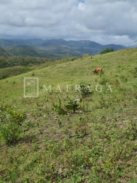 Finca en Venta en  Cariaco, Sucre