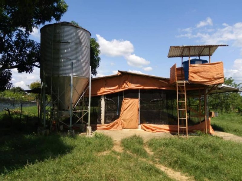 Finca en Venta en  Tinaquillo, Cojedes