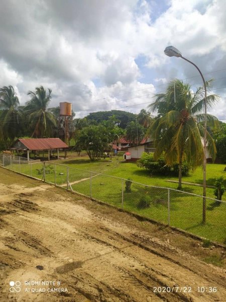 Foto Finca en Venta en @phagrovzla, Finca en Venta 1.300 Hectáreas, Barinas - U$D 1.700.000 - FIV142117 - BienesOnLine