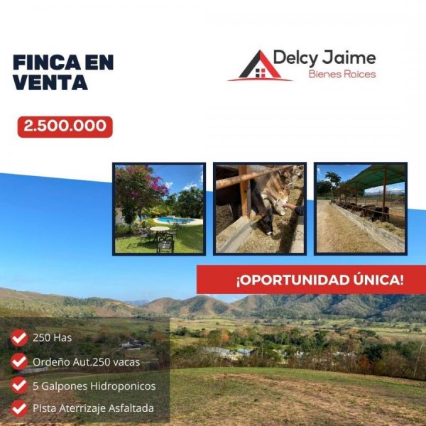 Finca en Venta en  Bejuma, Carabobo