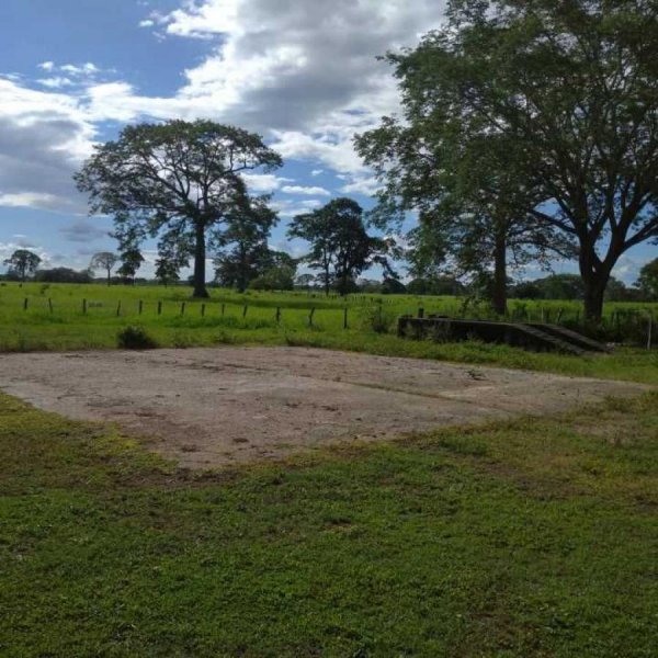 Finca en Venta en San Carlos San Carlos, Cojedes